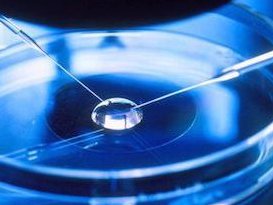 2026北京试管排队时间查询，北京有哪些私立的机构可以做试管技术？