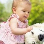 2026天津试管婴儿助孕机构精选攻略指南