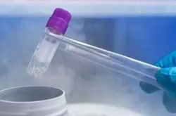 2026国内第三代试管婴儿医院排名，附医院详细名单