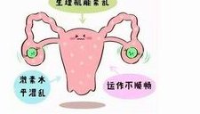 2026十堰人民医院试管婴儿费用明细表